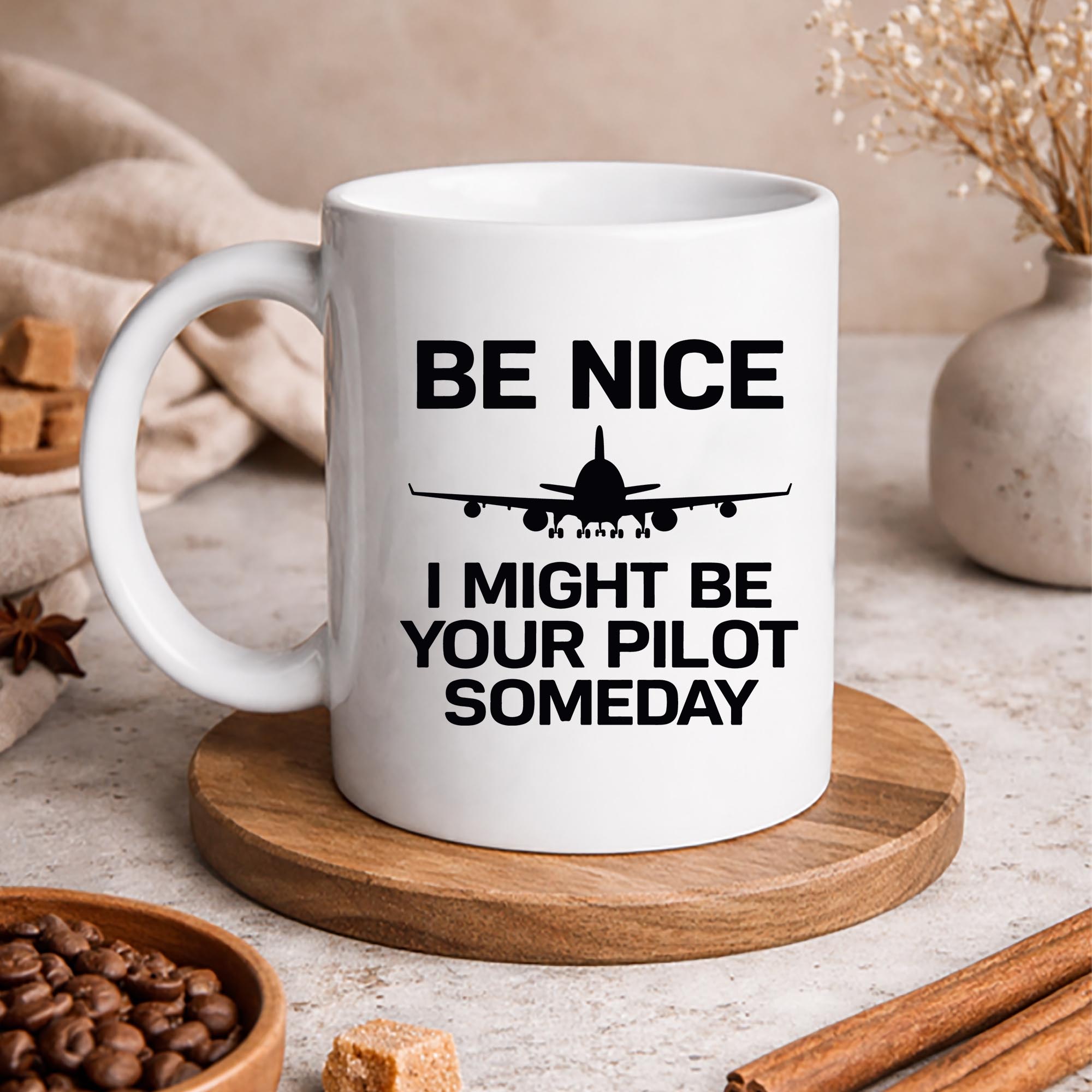 Be Nice I Might Be Your Pilot Some Day Airplane SVG PNG 3 Be Nice I Might Be Your Pilot Some Day Airplane SVG PNG - Image 3