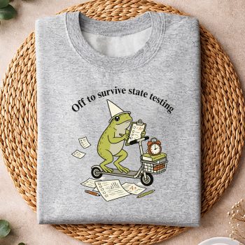 FunnyTeacherStateTestingHumorEducatorsweater