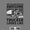 Truck Driver CDL SVG, Best Truck Driver Art for Men Dad Women Trucking CDL Trucker SVG PNG 6 BestTruckDriverArtforMenDadWomenTruckingCDLTrucker