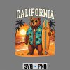 CaliforniaRetroSurfingCaliforniaBeachSunsetSummer