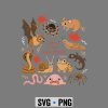 LoveTheUnlovedBugsInsectEntomologyEntomologistScience