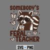 Feral Teacher Raccoon SVG, Retro Somebodys Feral Teacher Funny Raccoon Butterflies SVG PNG 6 RetroSomebodysFeralTeacherFunnyRaccoonButterflies