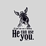 Christian If God Can Use A Donkey He Can Use You Sticker