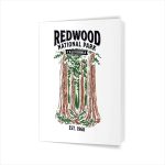 Redwood National Park California Vintage Greeting Card