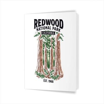 Homepage 203 Redwood National Park California Vintage Greeting Card