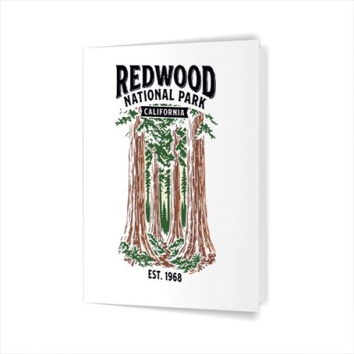 Redwood National Park California Vintage Greeting Card 1 Redwood National Park California Vintage Greeting Card