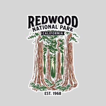 Homepage 162 Redwood National Park California Vintage Sticker