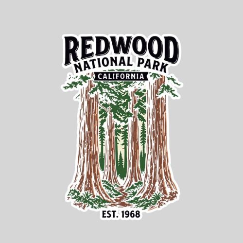 Redwood National Park California Vintage Sticker 1 Redwood National Park California Vintage Sticker